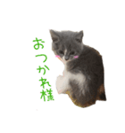 キキ0歳～2歳（個別スタンプ：4）