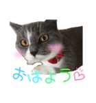 キキ0歳～2歳（個別スタンプ：5）