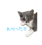 キキ0歳～2歳（個別スタンプ：6）