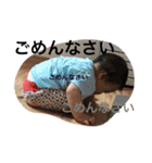 ゆうとゆこpart1 /20180807（個別スタンプ：19）