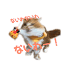 ひのきとしらかば5（個別スタンプ：2）