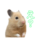 ひのきとしらかば5（個別スタンプ：8）