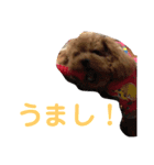 あんこちゃんの気持ち（個別スタンプ：6）