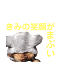 あんこちゃんの気持ち（個別スタンプ：7）