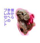 あんこちゃんの気持ち（個別スタンプ：8）