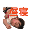 りこたんスタンプ1（個別スタンプ：24）