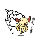 耳の茶色い犬（個別スタンプ：16）