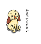 耳の茶色い犬（個別スタンプ：28）
