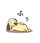 耳の茶色い犬（個別スタンプ：35）
