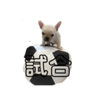 boss2.（個別スタンプ：7）