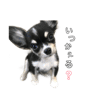 おーじぃ（個別スタンプ：1）