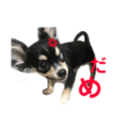 おーじぃ（個別スタンプ：3）