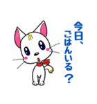 子猫のターキーくん（個別スタンプ：13）