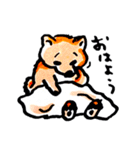 柴犬むぎ の幸福な日常。（個別スタンプ：1）