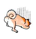 柴犬むぎ の幸福な日常。（個別スタンプ：3）