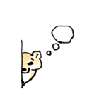 柴犬むぎ の幸福な日常。（個別スタンプ：6）