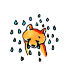 柴犬むぎ の幸福な日常。（個別スタンプ：16）