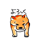 柴犬むぎ の幸福な日常。（個別スタンプ：27）