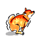 柴犬むぎ の幸福な日常。（個別スタンプ：33）