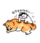柴犬むぎ の幸福な日常。（個別スタンプ：38）