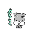 毎日使えるミニチュアシュナウザーのレオン（個別スタンプ：14）
