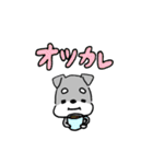 毎日使えるミニチュアシュナウザーのレオン（個別スタンプ：17）