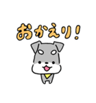 毎日使えるミニチュアシュナウザーのレオン（個別スタンプ：34）