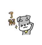 毎日使えるミニチュアシュナウザーのレオン（個別スタンプ：39）