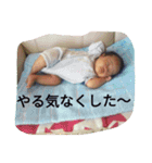 優雅3（個別スタンプ：3）