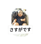 優雅3（個別スタンプ：15）