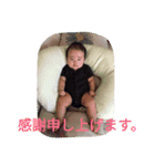 優雅3（個別スタンプ：16）