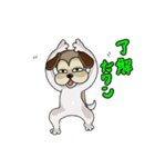 ぶーこdeにゃんこ（個別スタンプ：5）