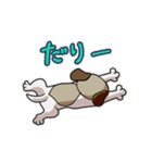 ぶーこdeにゃんこ（個別スタンプ：14）