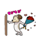 ぶーこdeにゃんこ（個別スタンプ：16）