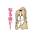 モフモフ フレンズ（個別スタンプ：35）