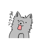 うちのオオカミさんの日常（個別スタンプ：12）