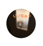 かわいいダックス 使える日常会話（個別スタンプ：18）