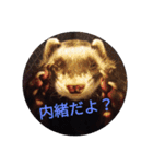 ニートのフェレット3（個別スタンプ：3）