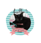 黒猫チョコのスタンプ（個別スタンプ：6）