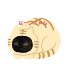 黒猫チョコのスタンプ（個別スタンプ：7）