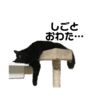 キキ＆トンボ（個別スタンプ：18）