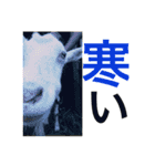 ヤギのもっくん（メス）2（個別スタンプ：11）