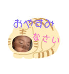 大河スタンプ2（個別スタンプ：33）