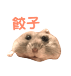 もぐ(ハムスター)（個別スタンプ：1）