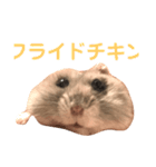 もぐ(ハムスター)（個別スタンプ：5）
