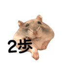 もぐ(ハムスター)（個別スタンプ：12）