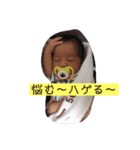 みありスタンプ！（個別スタンプ：16）