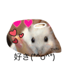 赤ちゃんハムスターのユキと猫のキリ（個別スタンプ：1）