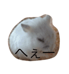 赤ちゃんハムスターのユキと猫のキリ（個別スタンプ：5）
