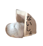 赤ちゃんハムスターのユキと猫のキリ（個別スタンプ：7）